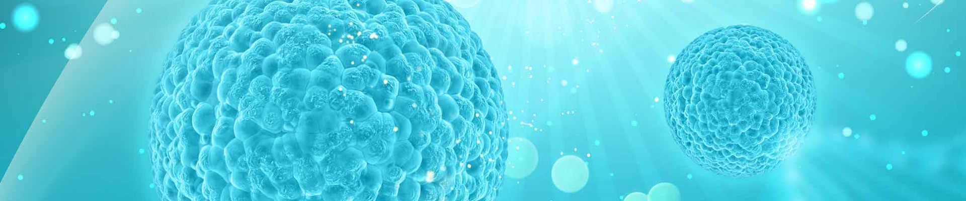 How to measure value in cancer immunotherapy